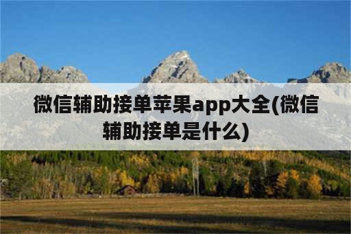 微信辅助接单苹果app大全(微信辅助接单是什么)