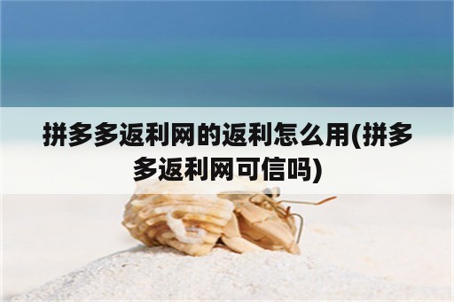 拼多多返利网的返利怎么用(拼多多返利网可信吗)