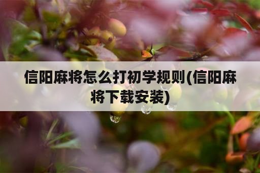 信阳麻将怎么打初学规则(信阳麻将下载安装)