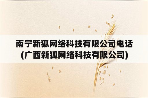 南宁新狐网络科技有限公司电话(广西新狐网络科技有限公司)