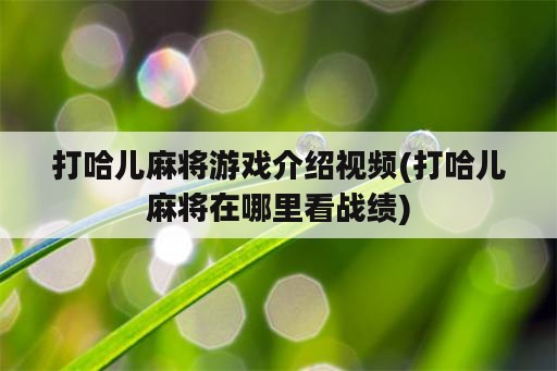 打哈儿麻将游戏介绍视频(打哈儿麻将在哪里看战绩)