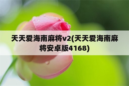 天天爱海南麻将v2(天天爱海南麻将安卓版4168)