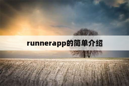 runnerapp的简单介绍