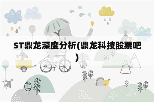 ST鼎龙深度分析(鼎龙科技股票吧)