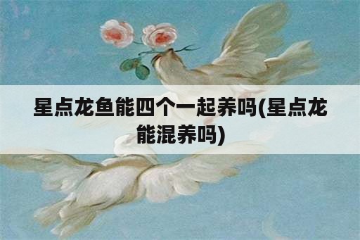 星点龙鱼能四个一起养吗(星点龙能混养吗)