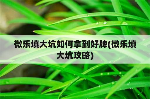 微乐填大坑如何拿到好牌(微乐填大坑攻略)