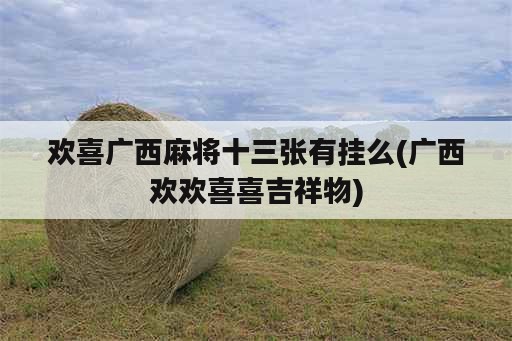 欢喜广西麻将十三张<strong>有挂</strong>么(广西欢欢喜喜吉祥物)