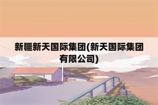 新疆新天国际集团(新天国际集团有限公司)