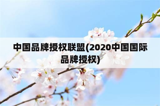 中国品牌授权联盟(2020中国国际品牌授权)