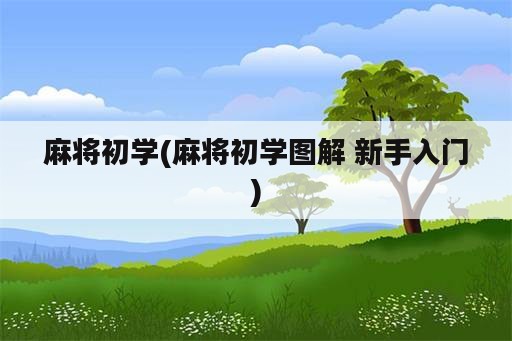 麻将初学(麻将初学图解 新手入门)