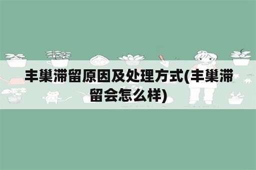 丰巢滞留原因及处理方式(丰巢滞留会怎么样)