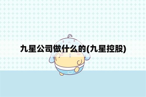 九星公司做什么的(九星控股)