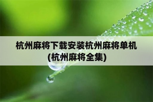 杭州麻将下载安装杭州麻将单机(杭州麻将全集)