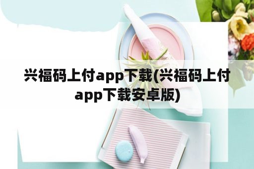 兴福码上付app下载(兴福码上付app下载安卓版)