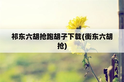 祁东六胡抢跑胡子下载(衡东六胡抢)