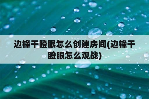 边锋干瞪眼怎么创建房间(边锋干瞪眼怎么观战)