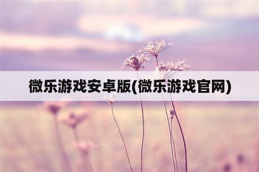 微乐游戏安卓版(微乐游戏官网)