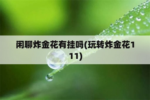 闲聊炸金花<strong>有挂</strong>吗(玩转炸金花111)