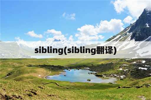 sibling(sibling翻译)