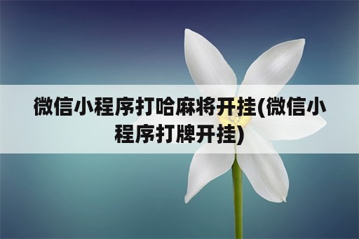 微信小程序打哈麻将开挂(微信小程序打牌开挂)