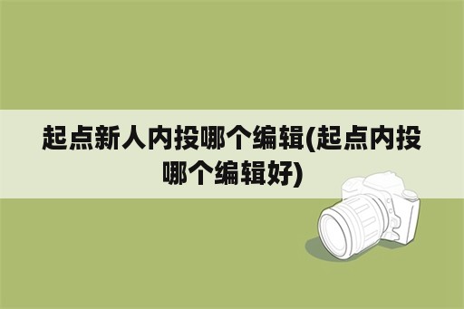 起点新人内投哪个编辑(起点内投哪个编辑好)