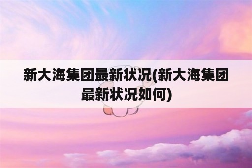 新大海集团最新状况(新大海集团最新状况如何)