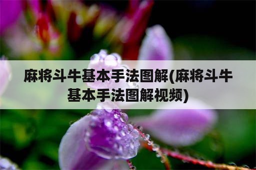 麻将斗牛基本手法图解(麻将斗牛基本手法图解视频)