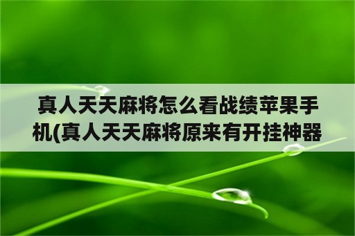 真人天天麻将怎么看战绩苹果手机(真人天天麻将原来有开挂神器)