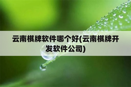 云南棋牌软件哪个好(云南棋牌开发软件公司)