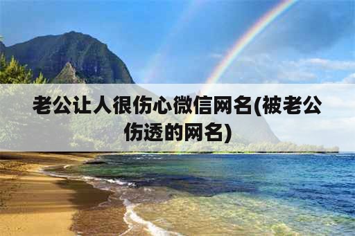 老公让人很伤心微信网名(被老公伤透的网名)