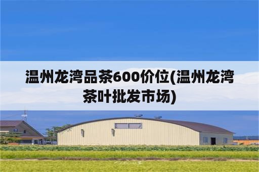 温州龙湾品茶600价位(温州龙湾茶叶批发市场)