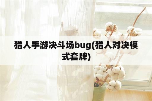 猎人手游决斗场bug(猎人对决模式套牌)