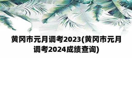 黄冈市元月调考2023(黄冈市元月调考2024成绩查询)