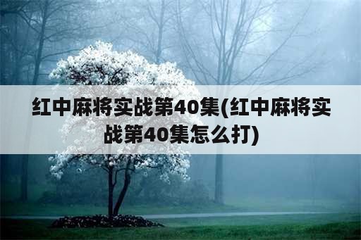 红中麻将实战第40集(红中麻将实战第40集怎么打)