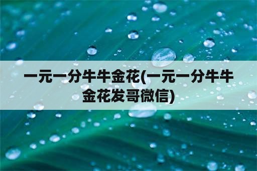 一元一分牛牛金花(一元一分牛牛金花发哥微信)