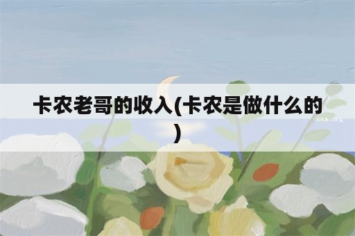 卡农老哥的收入(卡农是做什么的)