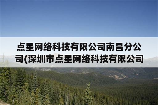 点星网络科技有限公司南昌分公司(深圳市点星网络科技有限公司赣州分公司)