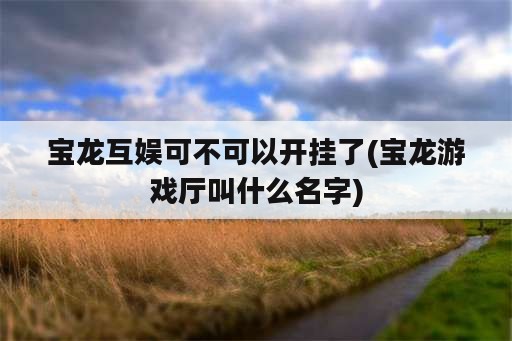 宝龙互娱可不可以开挂了(宝龙游戏厅叫什么名字)