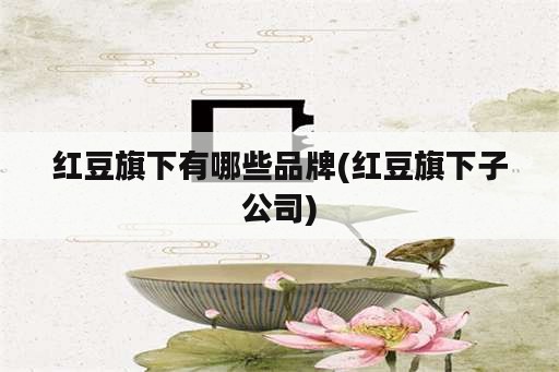 红豆旗下有哪些品牌(红豆旗下子公司)