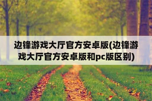 边锋游戏大厅官方安卓版(边锋游戏大厅官方安卓版和pc版区别)