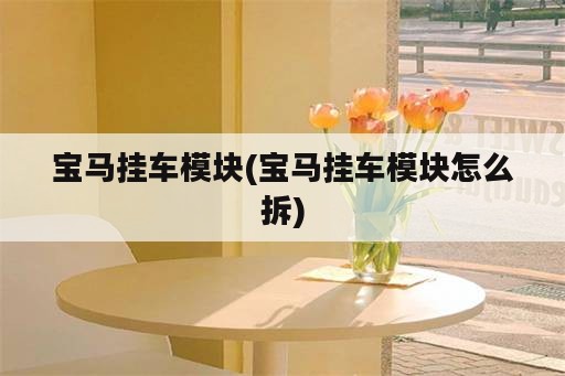 宝马挂车模块(宝马挂车模块怎么拆)