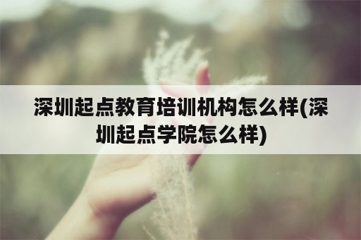 深圳起点教育培训机构怎么样(深圳起点学院怎么样)