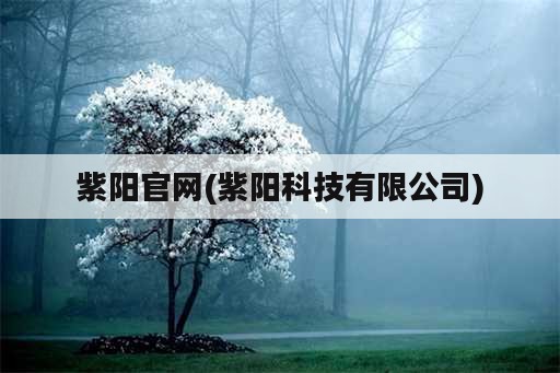 紫阳官网(紫阳科技有限公司)