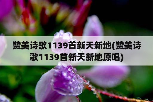 赞美诗歌1139首新天新地(赞美诗歌1139首新天新地原唱)