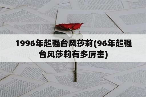 1996年超强台风莎莉(96年超强台风莎莉有多厉害)