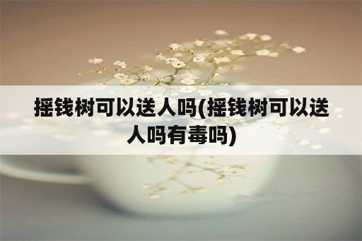 摇钱树可以送人吗(摇钱树可以送人吗有毒吗)