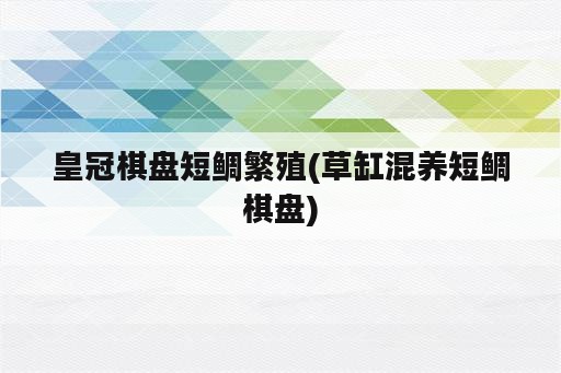 皇冠棋盘短鲷繁殖(草缸混养短鲷棋盘)