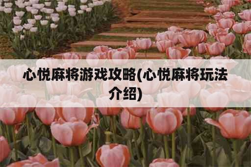 心悦麻将游戏攻略(心悦麻将玩法介绍)