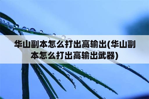 华山副本怎么打出高输出(华山副本怎么打出高输出武器)