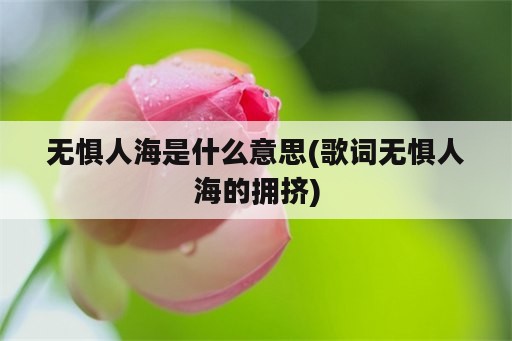 无惧人海是什么意思(歌词无惧人海的拥挤)